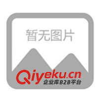 供應電動泵、電動油泵、專業電動泵